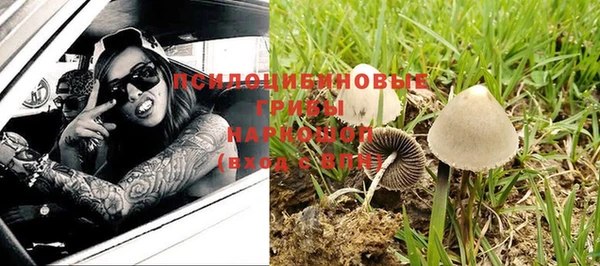 мдпв Арсеньев