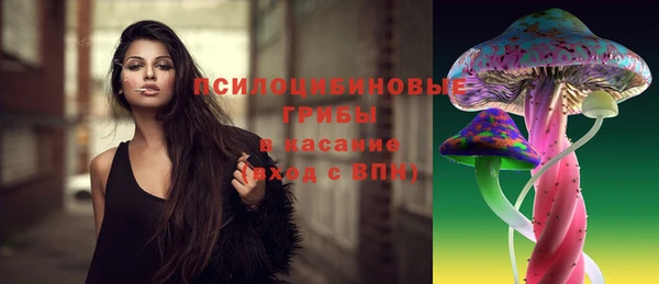 мдпв Арсеньев