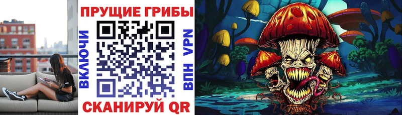 Галлюциногенные грибы Psilocybe  Благодарный 